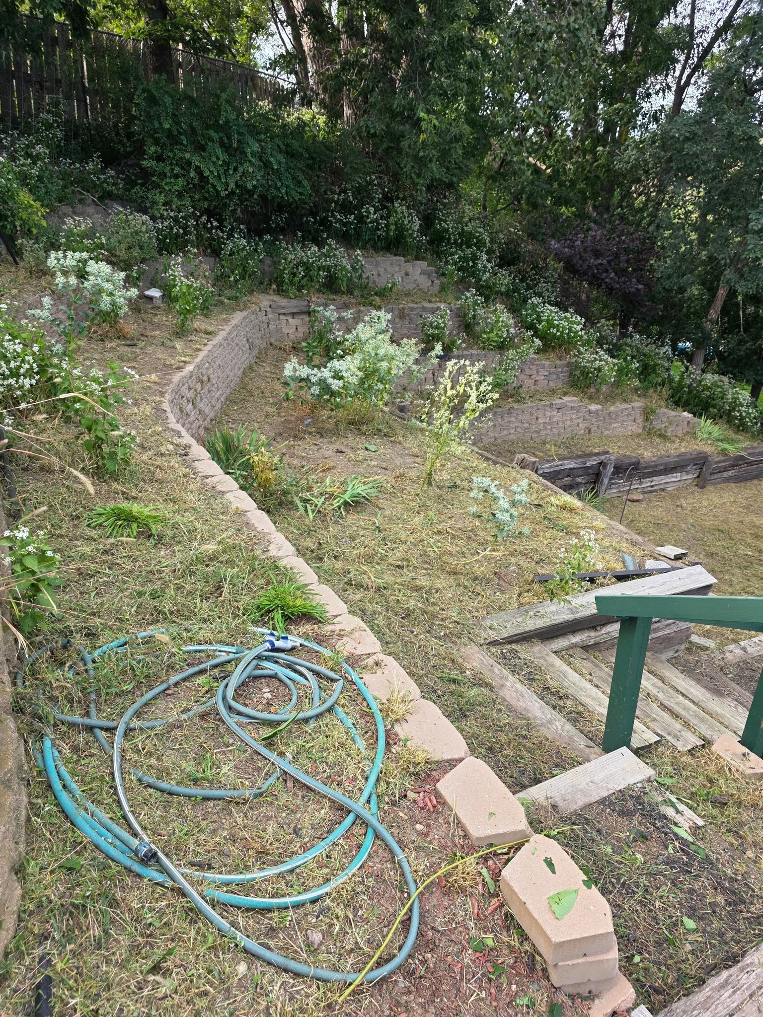 Landscaping