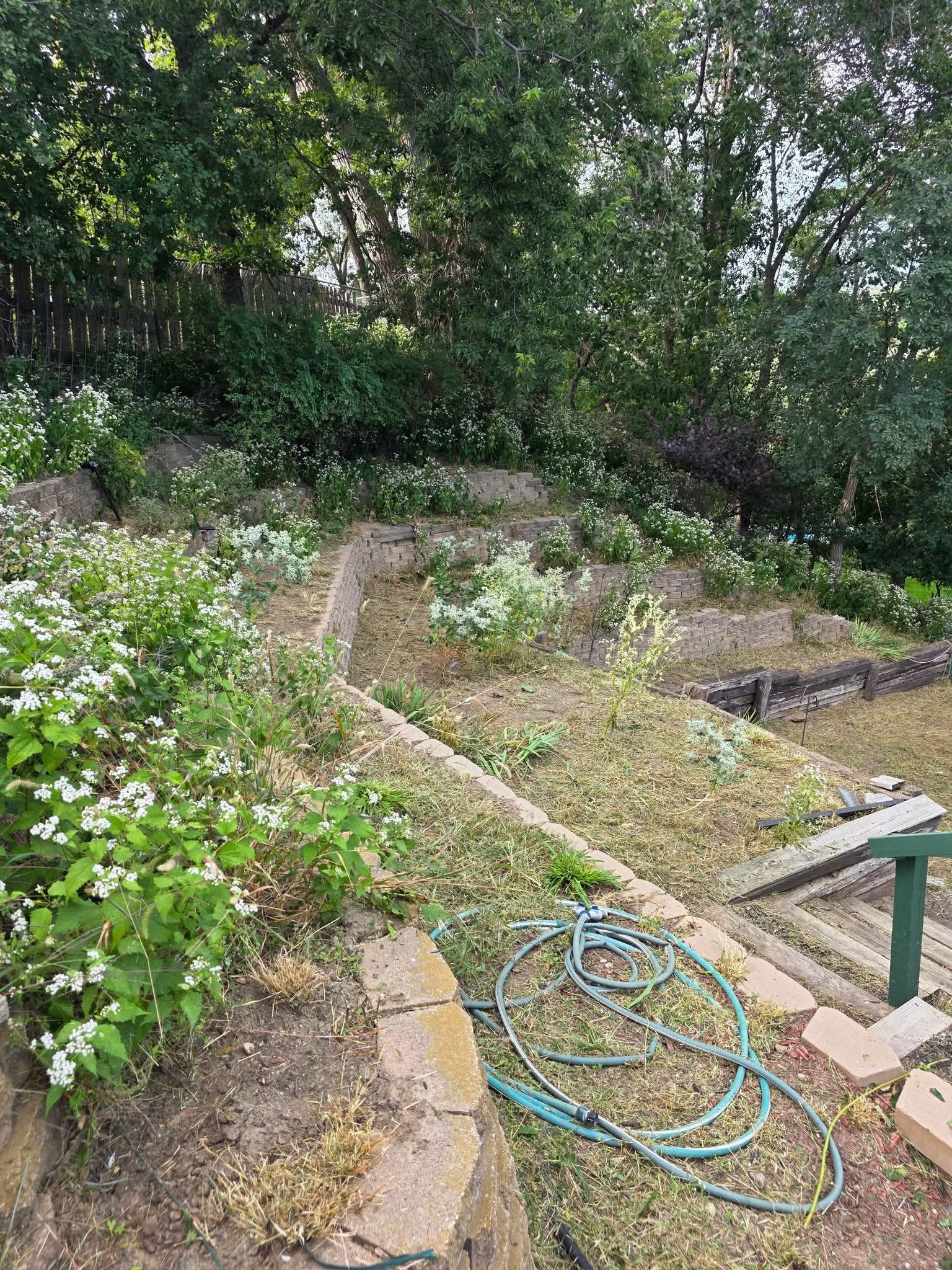 Landscaping