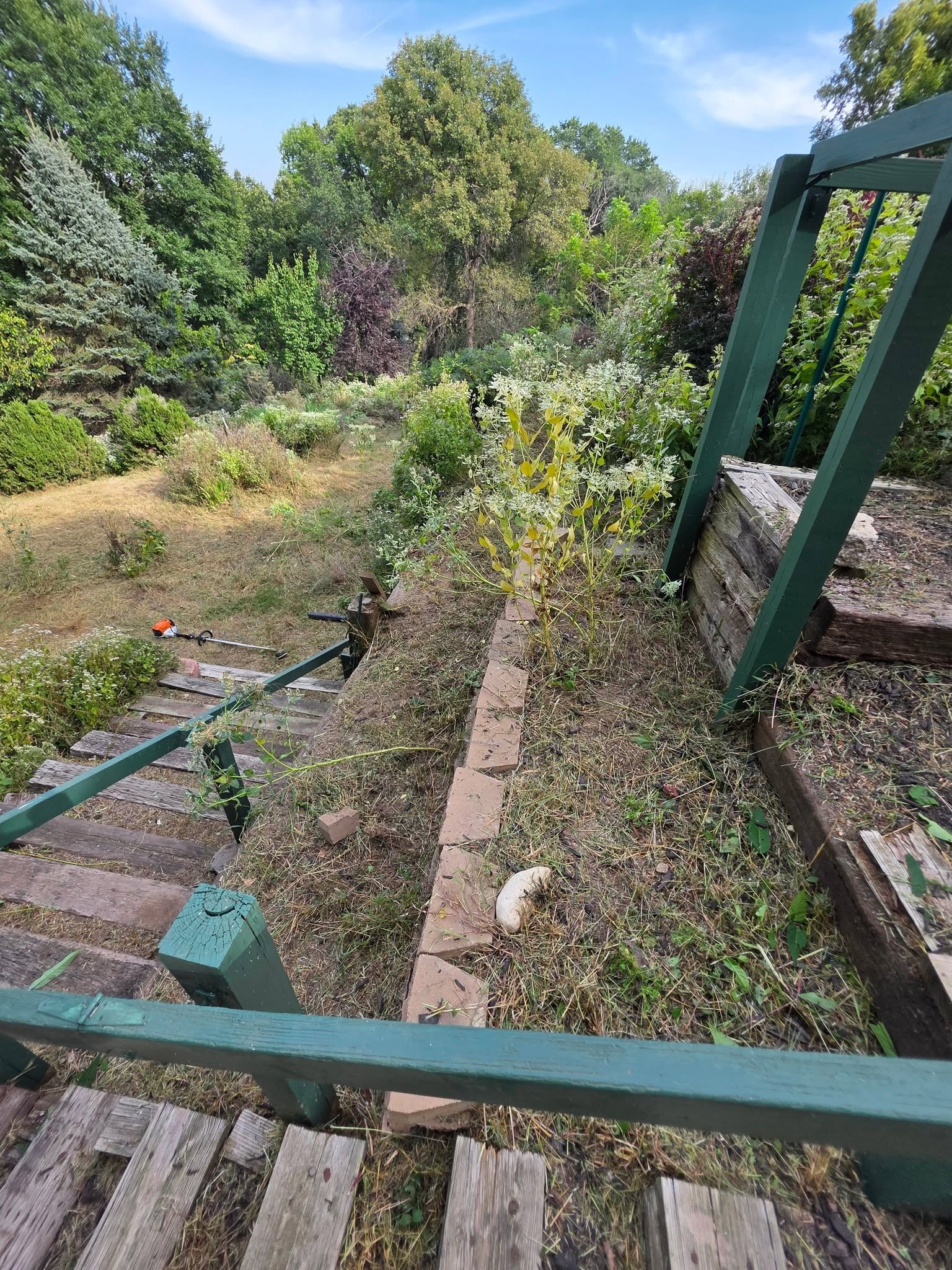 Landscaping