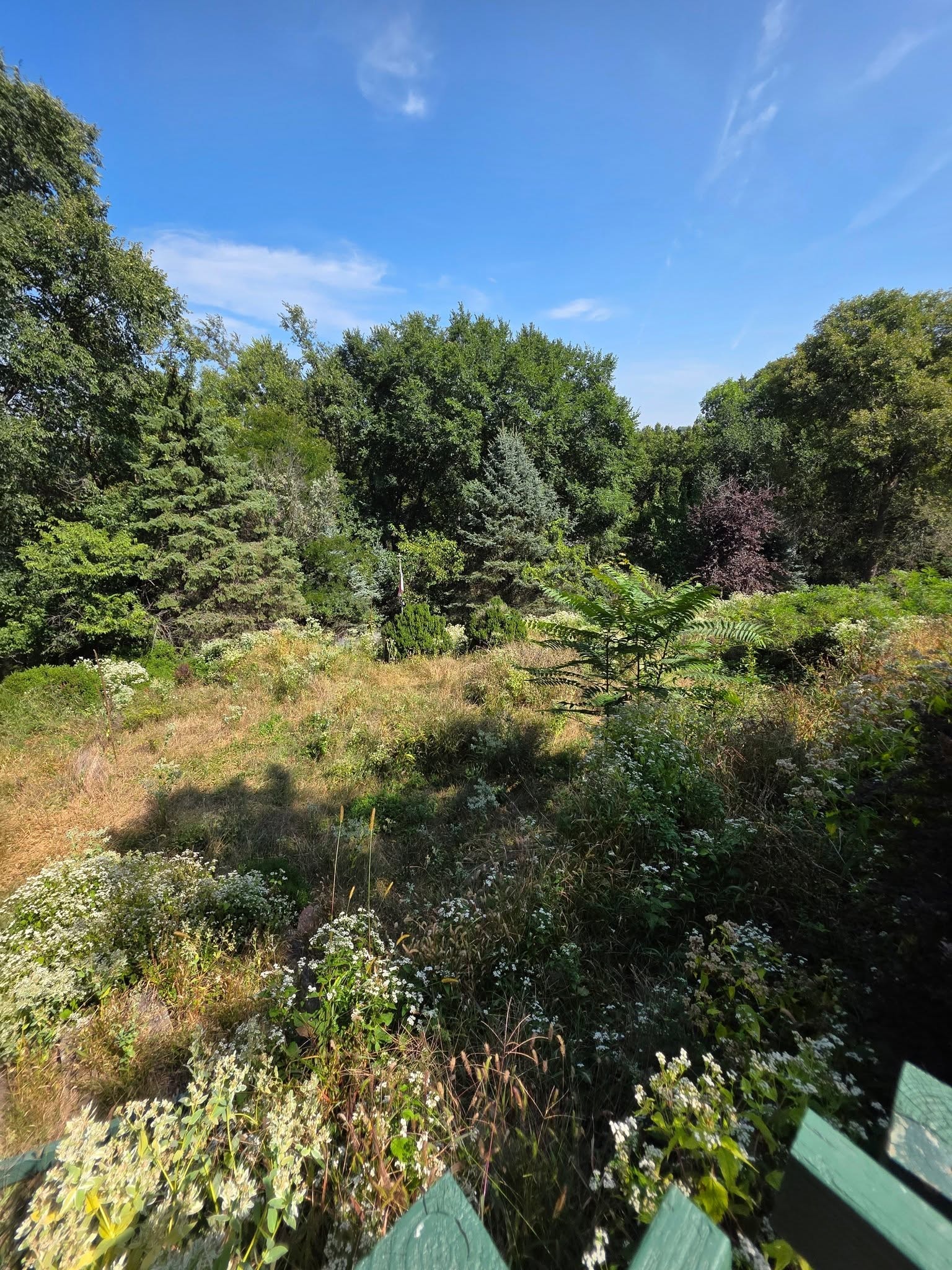 Landscaping