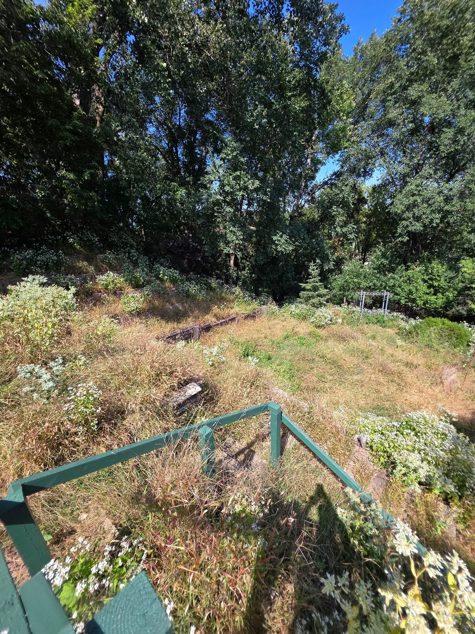 Landscaping