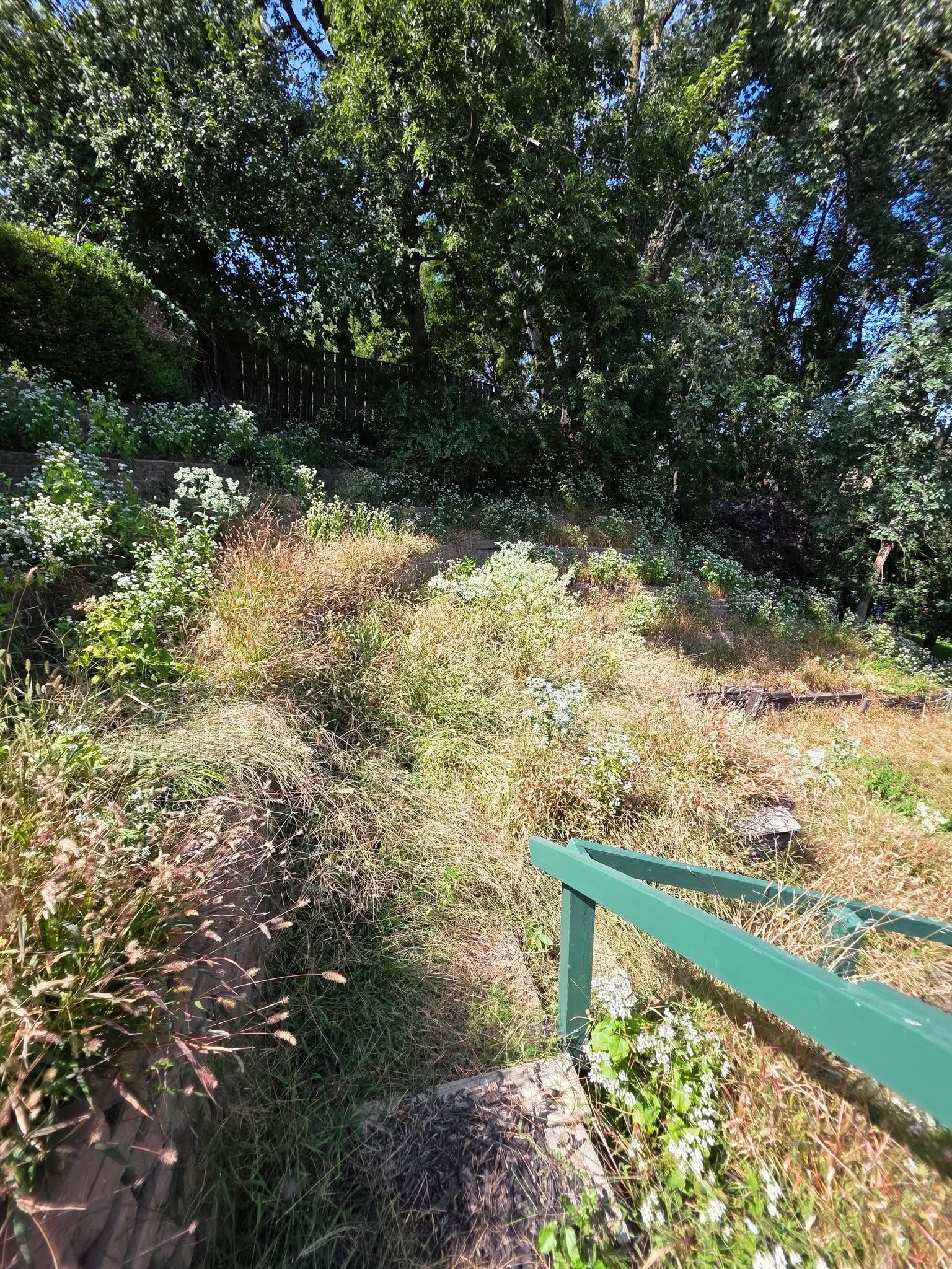 Landscaping