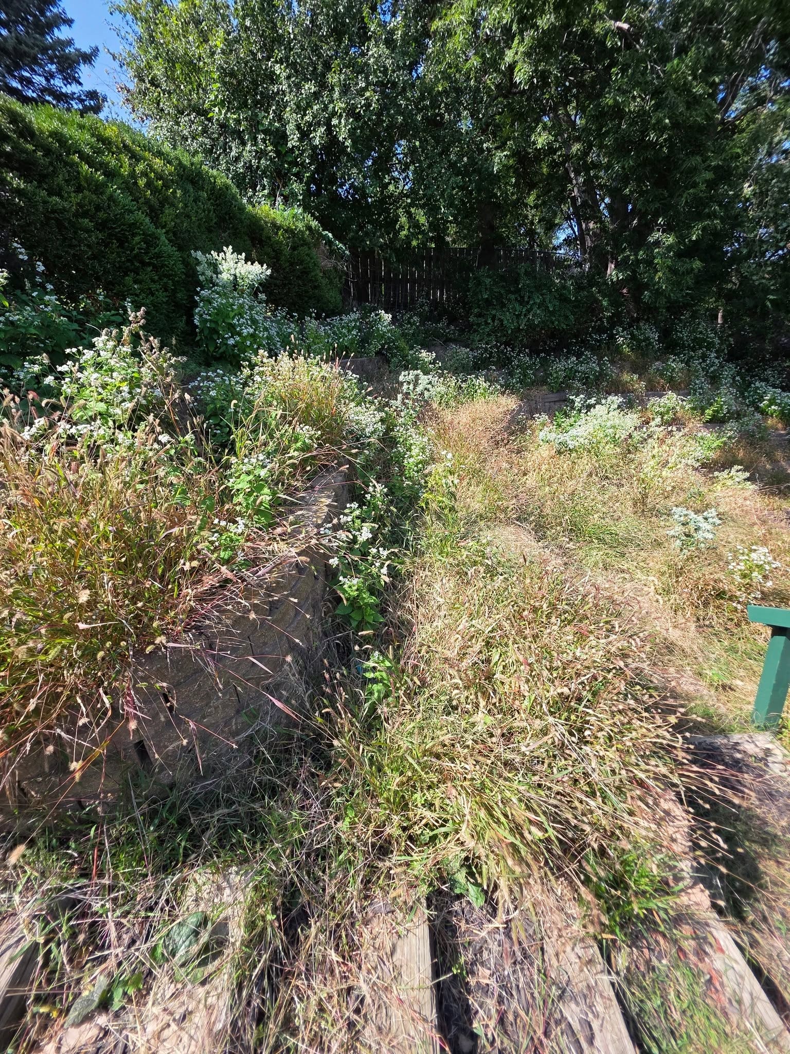 Landscaping