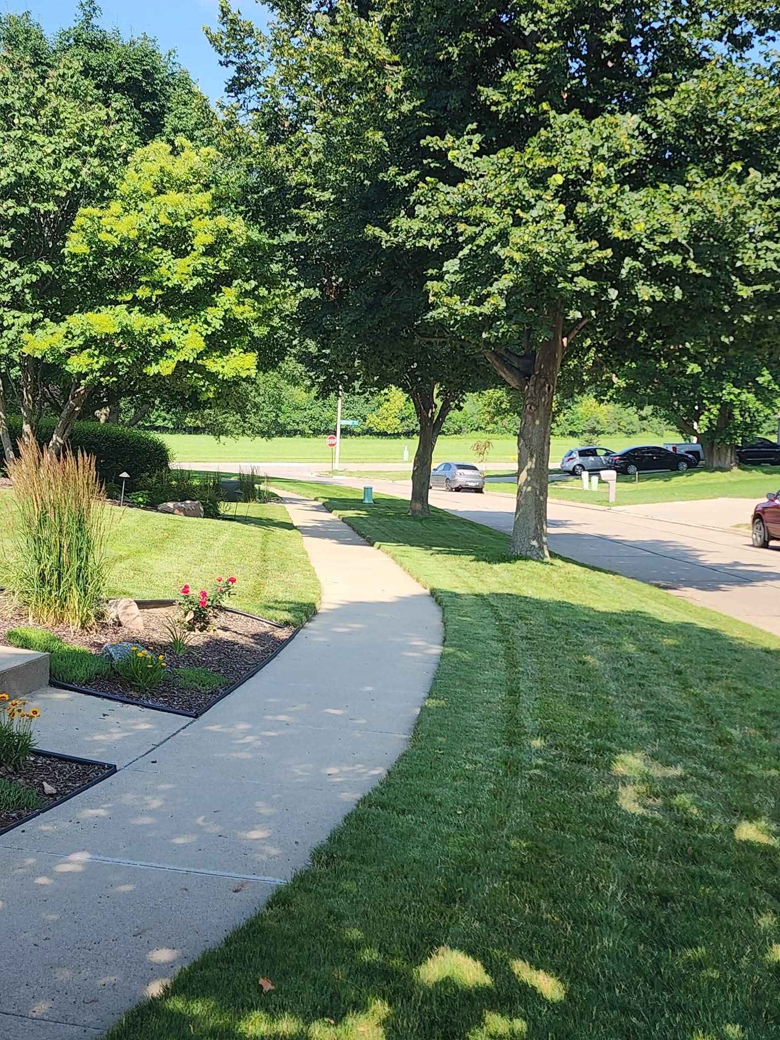 Lawn Care