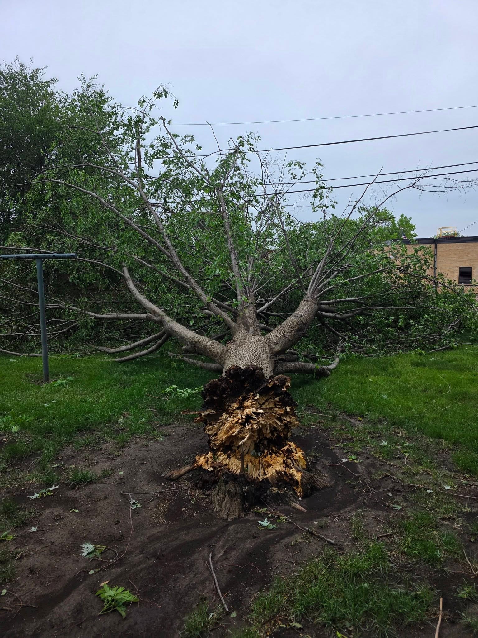 Storm Work