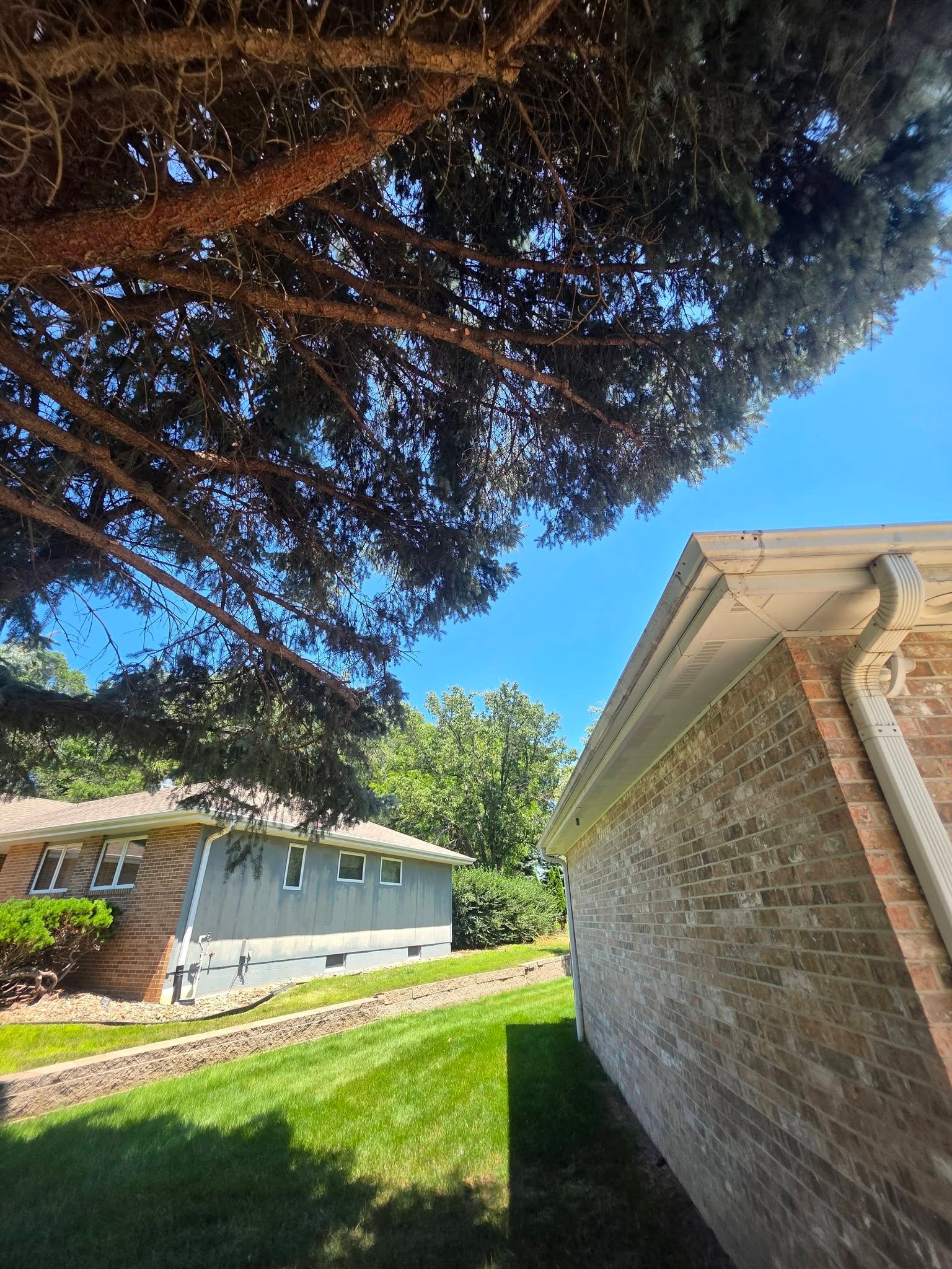 Tree Pruning