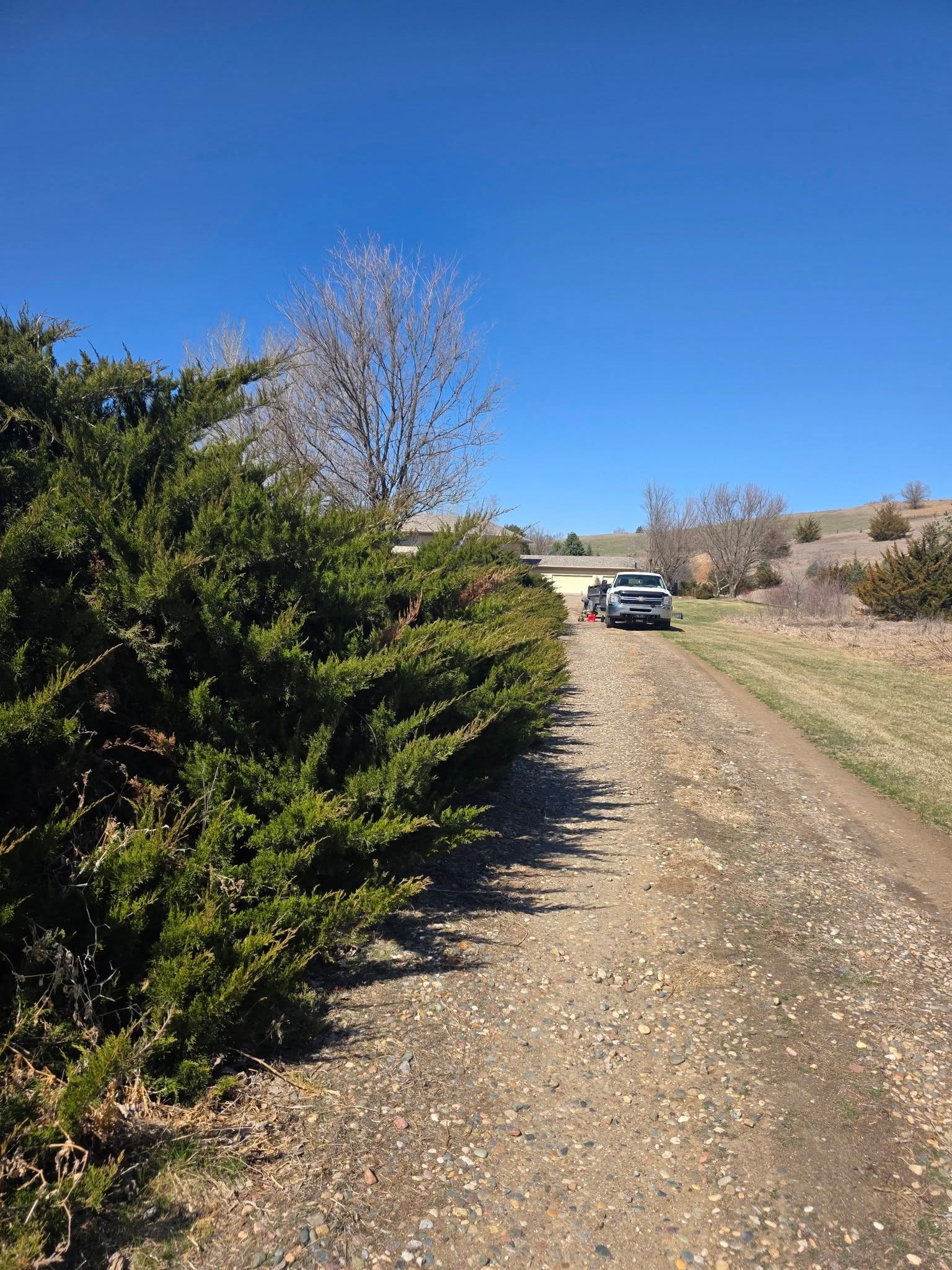 Tree Pruning
