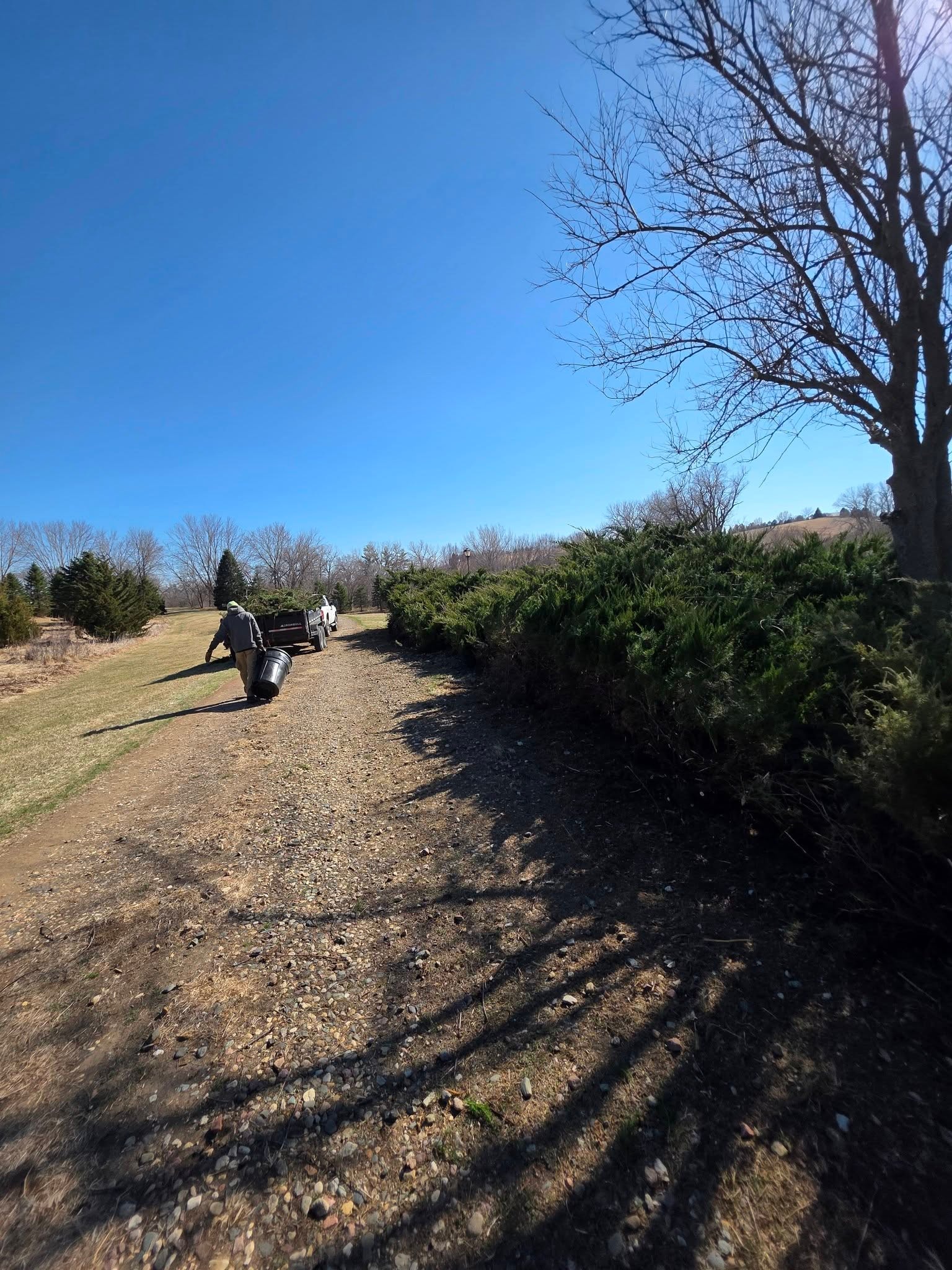 Tree Pruning