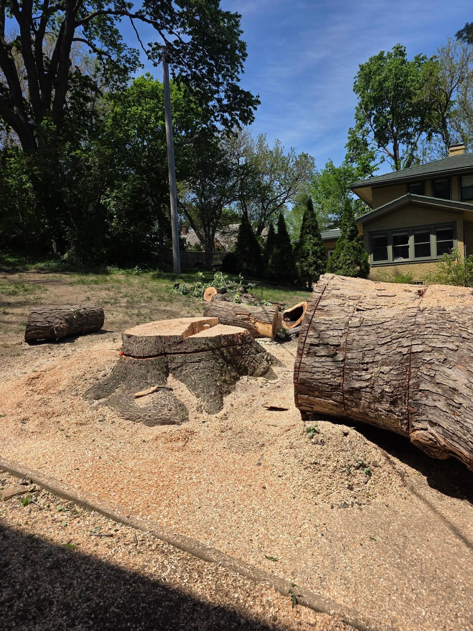 Tree Removal