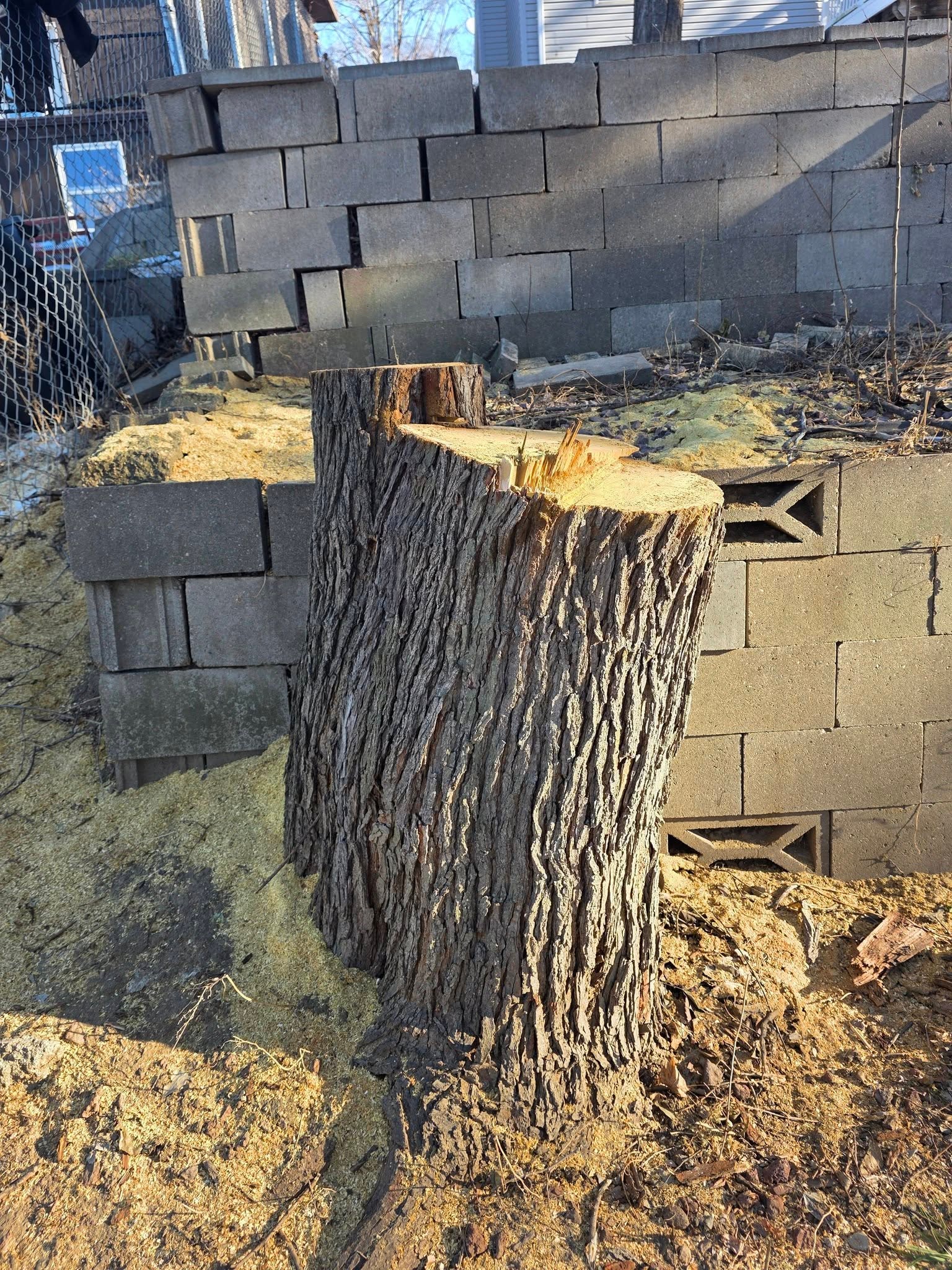 Tree Removal