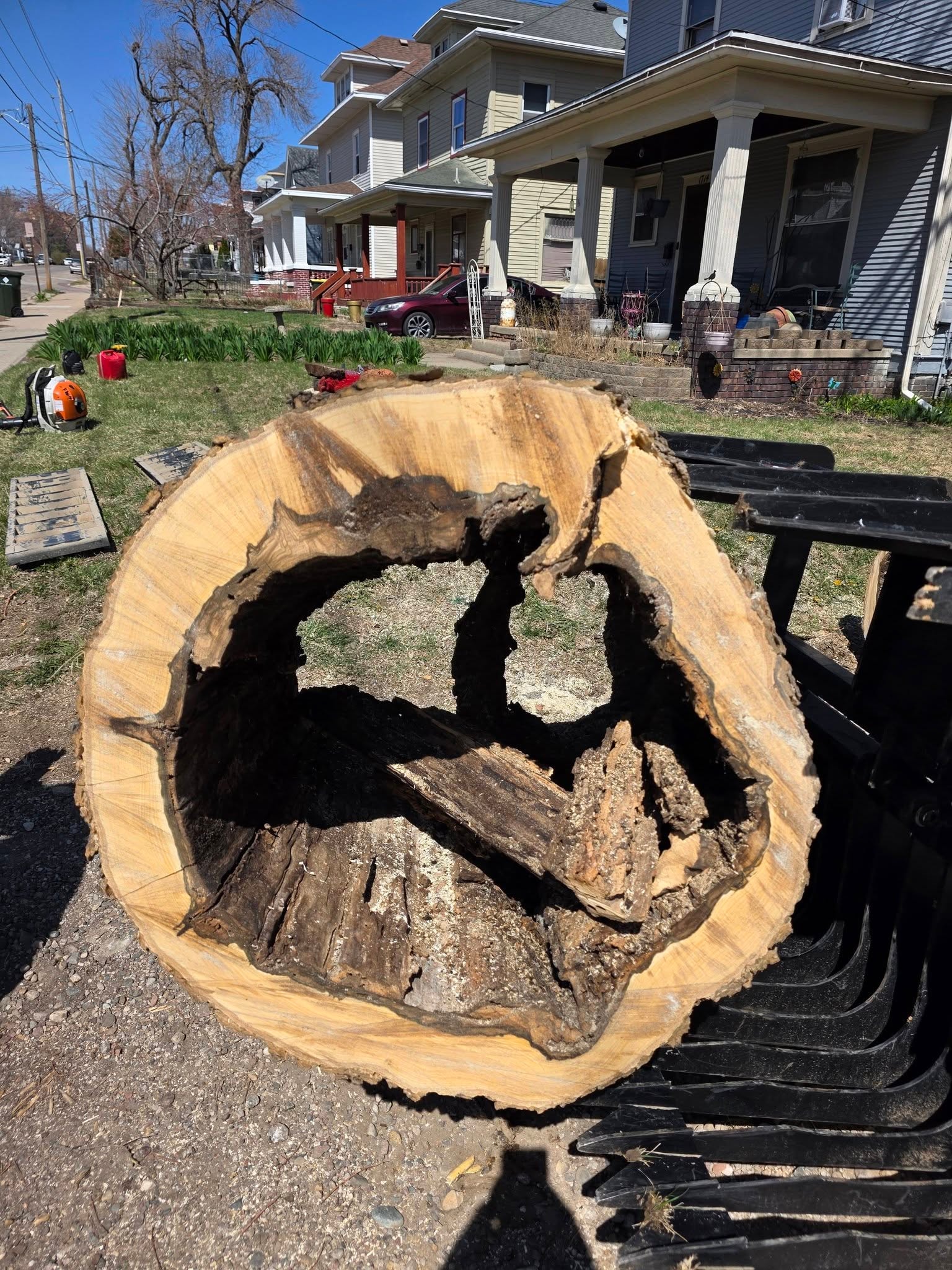 Tree Removal