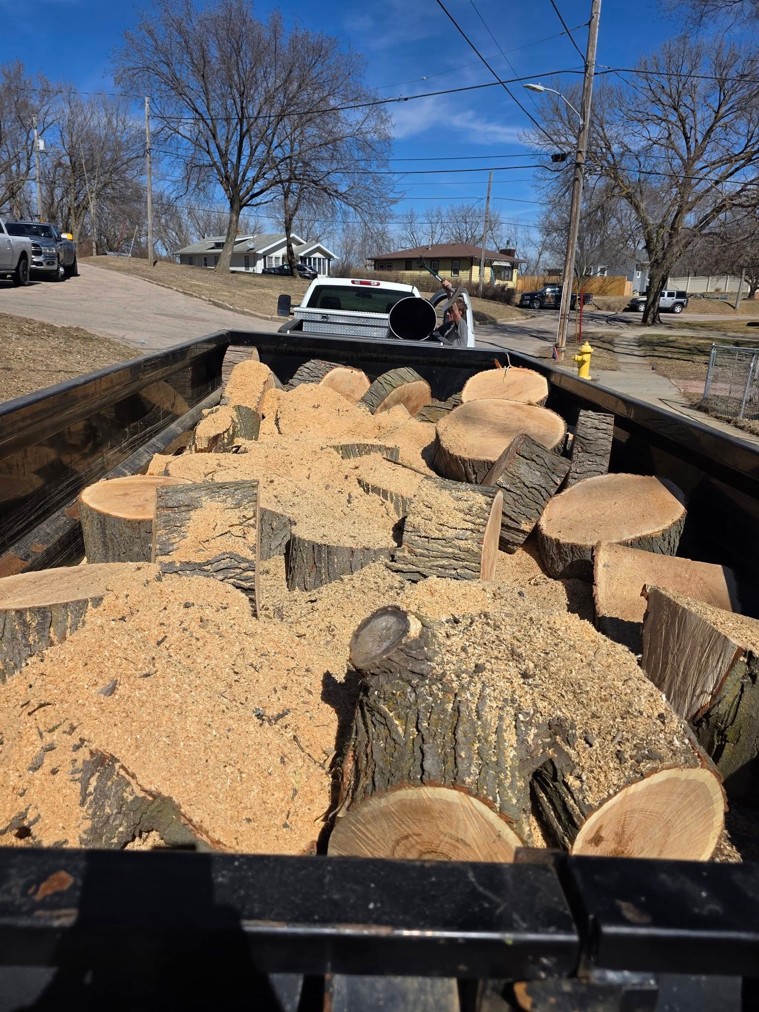 Tree Removal