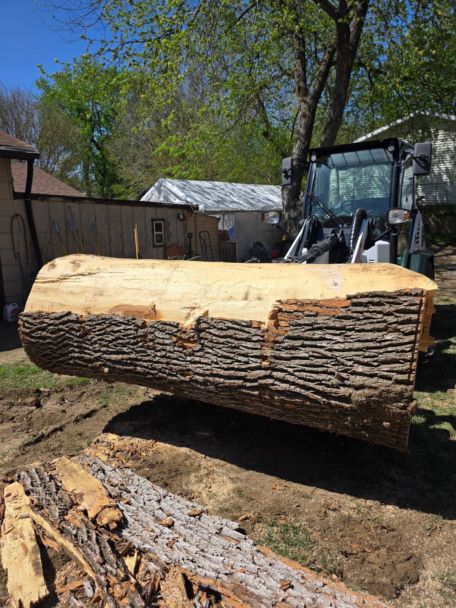 Tree Removal