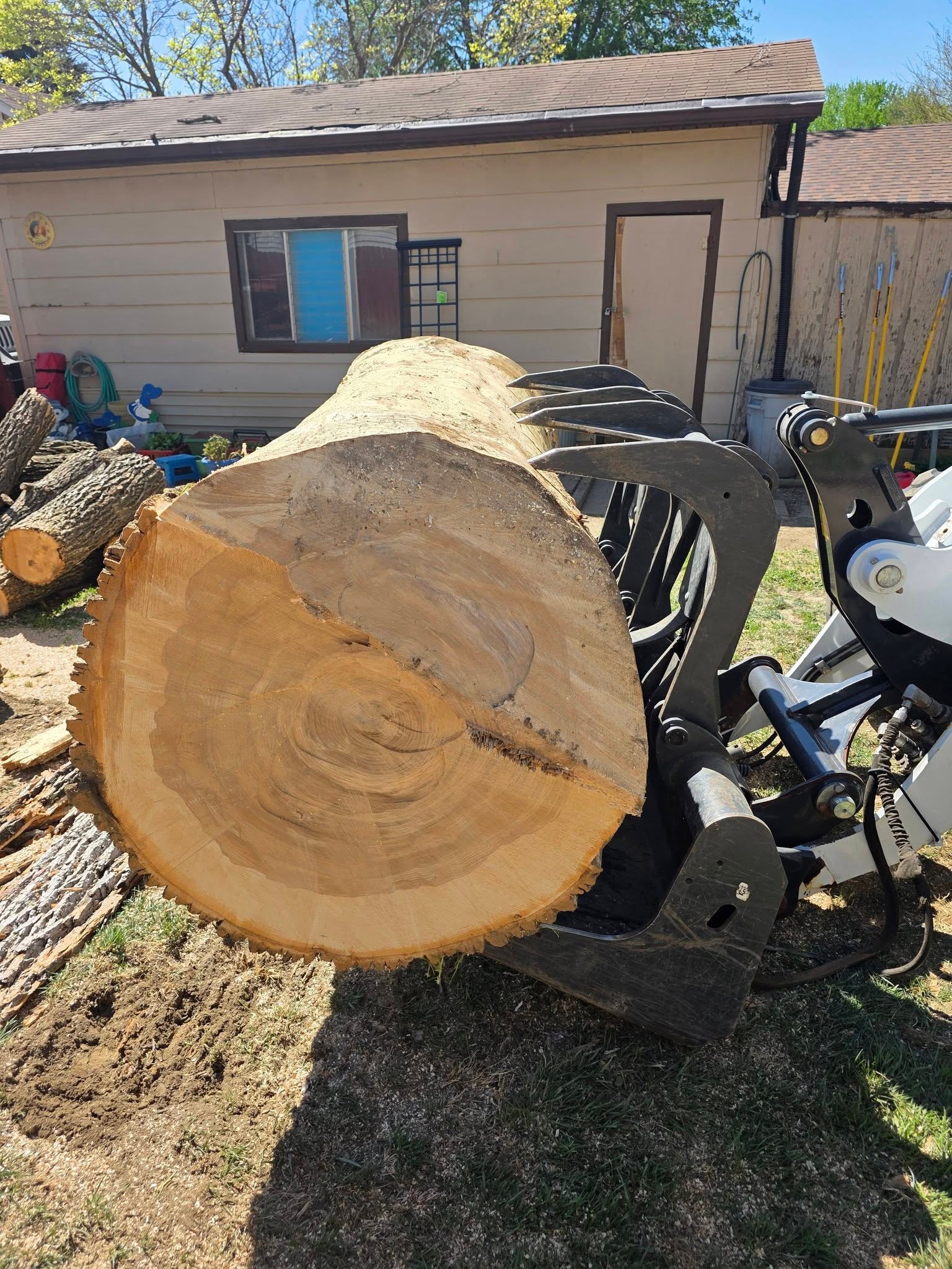 Tree Removal