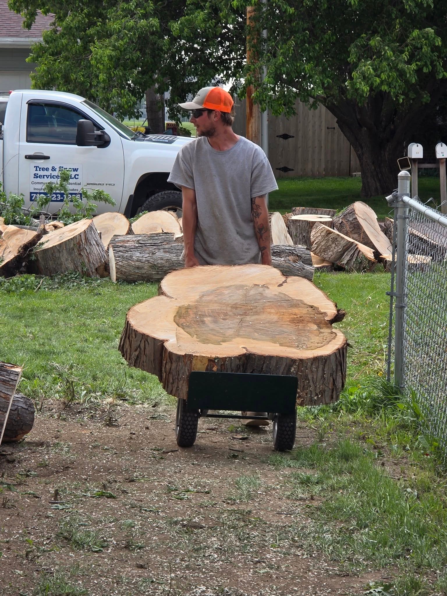 Tree Removal