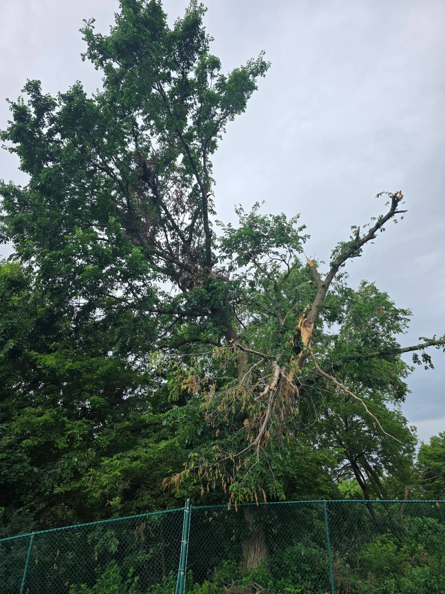 Storm Work