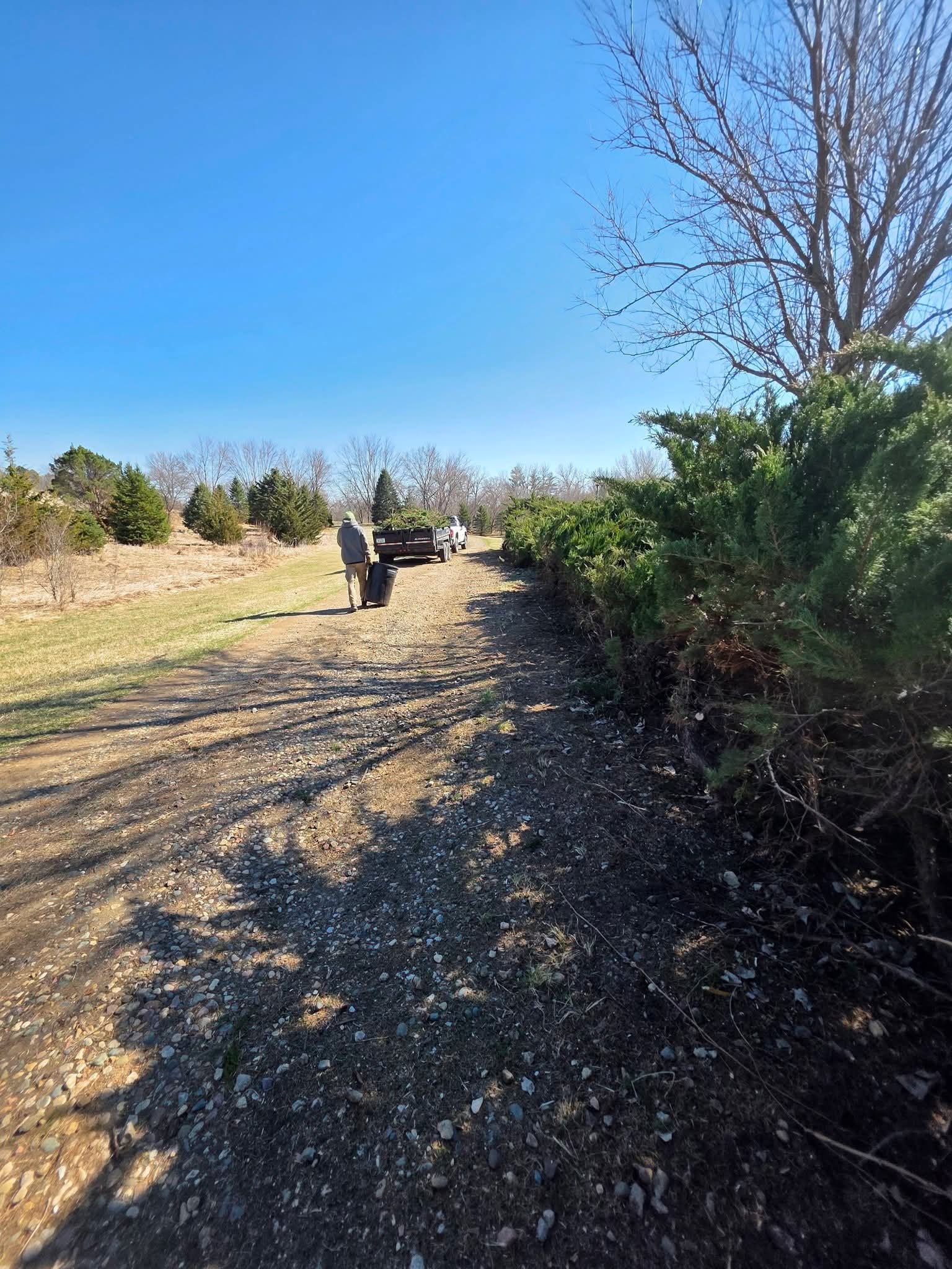 Tree Pruning