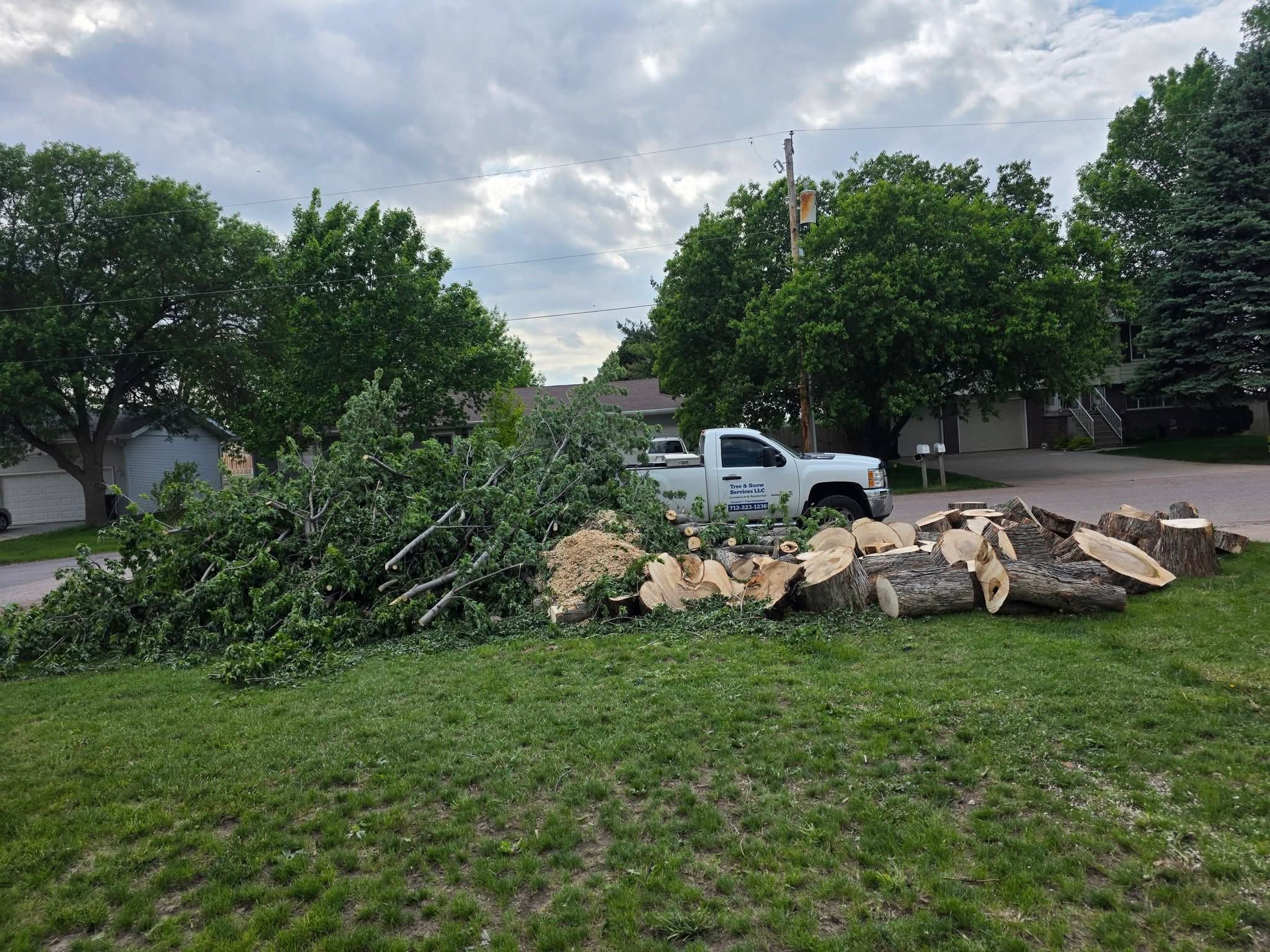 Tree Removal
